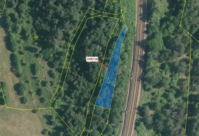 Dražba lesa, Lubné, 802 m2