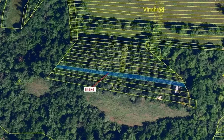 Dražba lesa, Ivančice, 507 m2