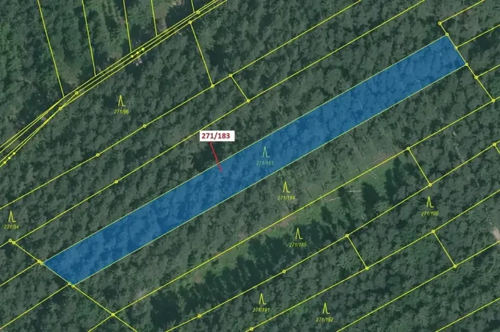 Dražba lesa, Milavče, 2398 m2