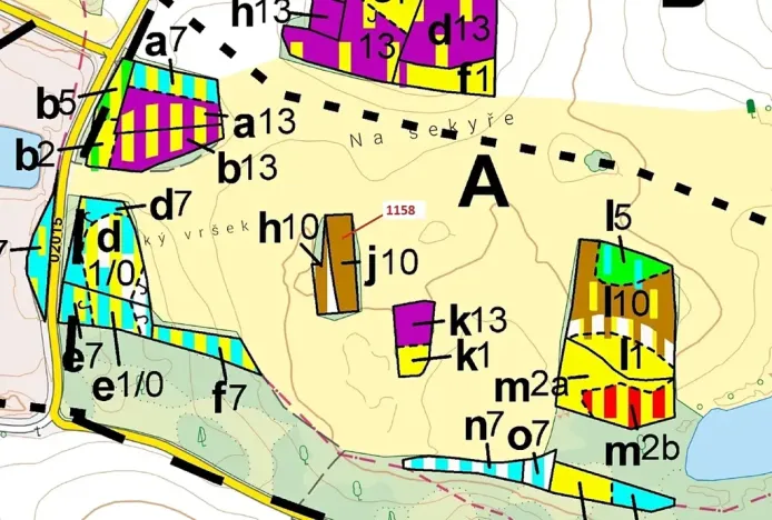 Dražba lesa, Hradiště, 1323 m2