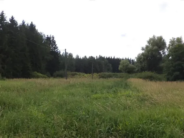 Dražba louky, Chodský Újezd, 13137 m2