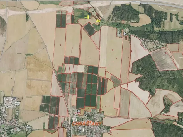 Dražba louky, Chrášťany, 1802 m2