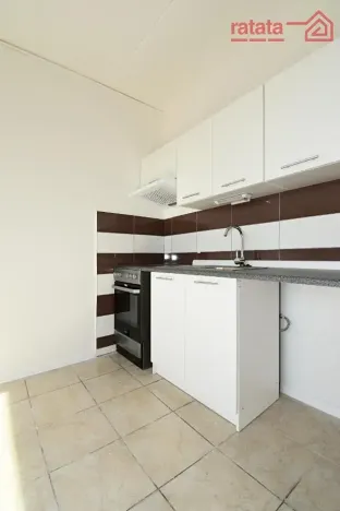 Pronájem bytu 1+1, Chomutov, Hutnická, 39 m2