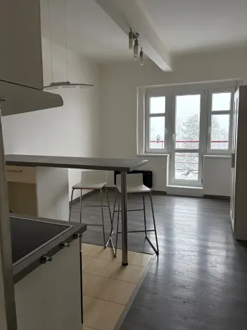 Pronájem bytu 1+kk, Praha - Žižkov, Hartigova, 24 m2