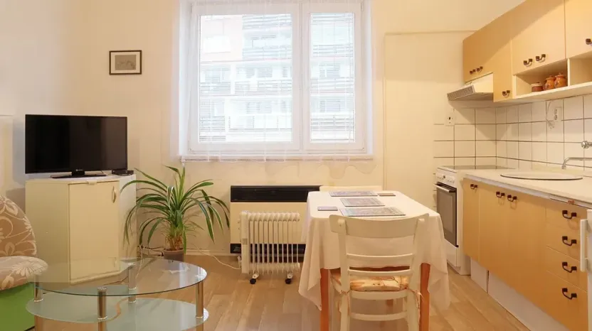 Prodej bytu 1+kk, Benešov, Čechova, 31 m2