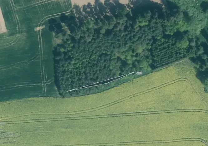 Prodej lesa, Zastávka, 11212 m2