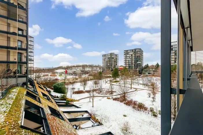 Prodej bytu 2+kk, Praha - Žižkov, Pitterova, 83 m2