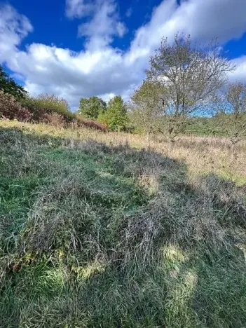 Prodej lesa, Březolupy, 1340 m2