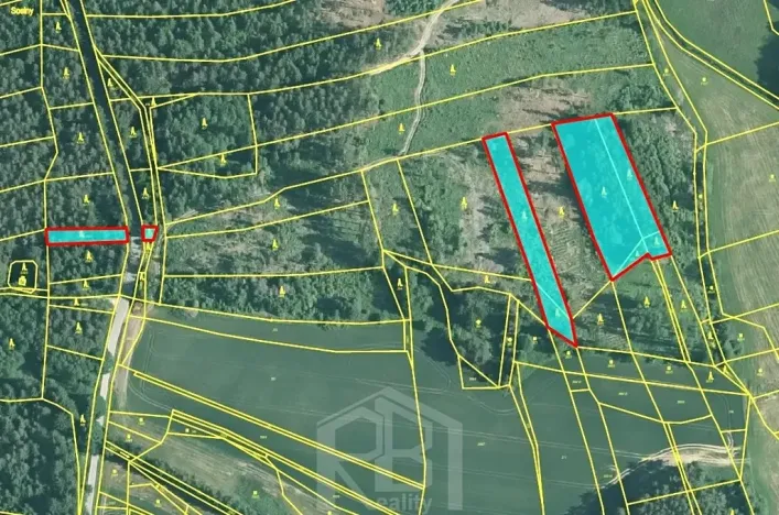 Prodej lesa, Horní Meziříčko, 6626 m2