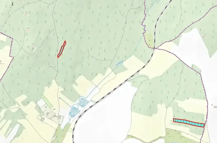 Prodej lesa, Jihlávka, 10463 m2