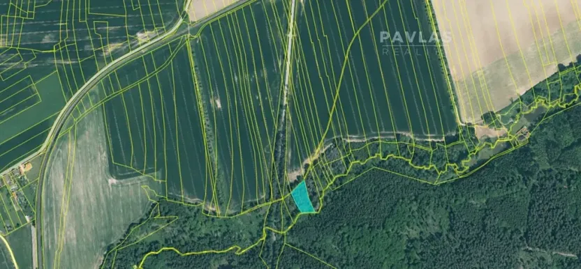 Prodej lesa, Jetětice, 103270 m2