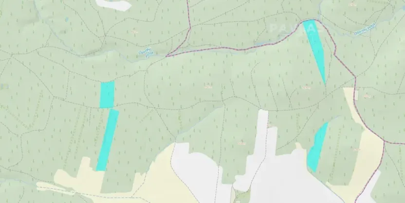 Prodej lesa, Jetětice, 103270 m2