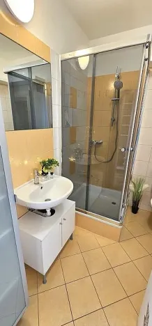 Pronájem bytu 1+kk, Brno - Zábrdovice, Tkalcovská, 32 m2