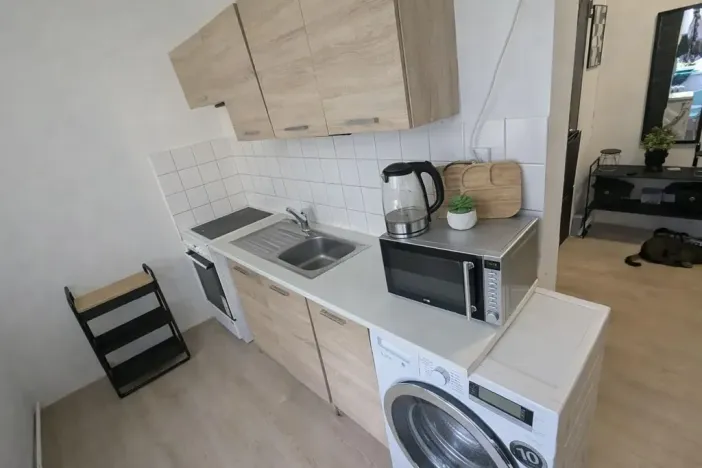 Pronájem bytu 1+1, Ústí nad Labem, Železná, 40 m2