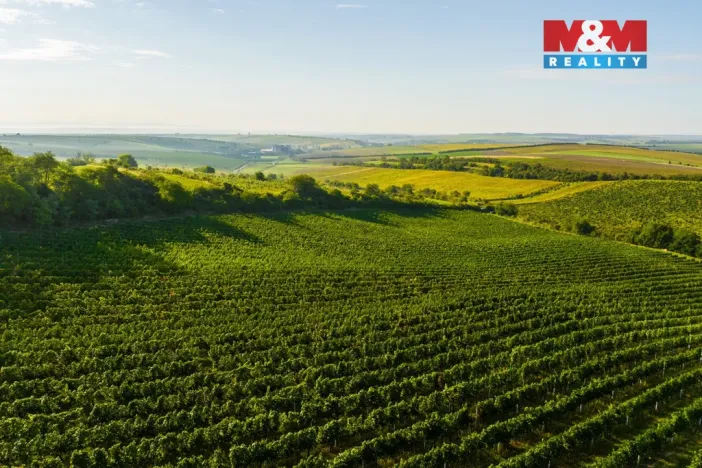 Prodej pole, Šardice, 56699 m2