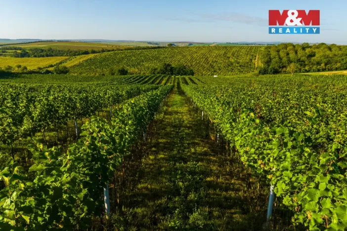 Prodej pole, Šardice, 56699 m2