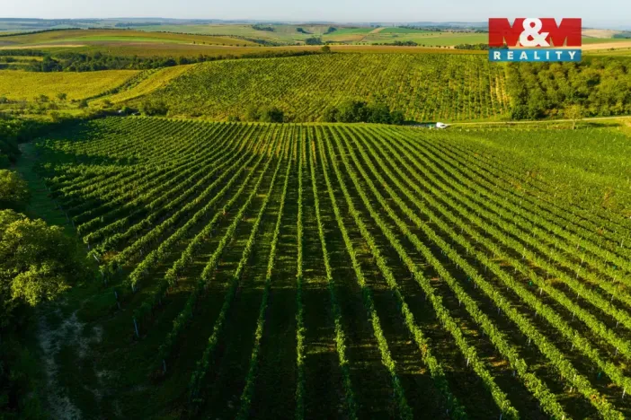 Prodej pole, Šardice, 56699 m2