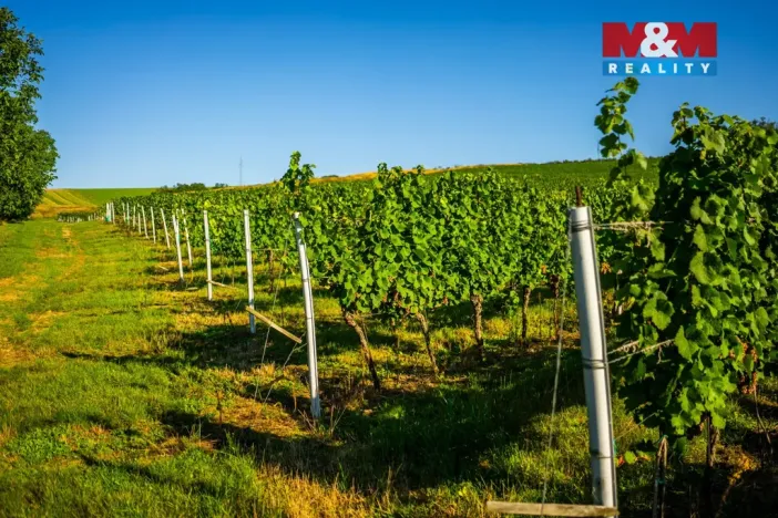 Prodej pole, Šardice, 56699 m2