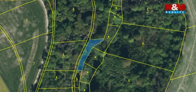 Prodej lesa, Řepníky, 562 m2