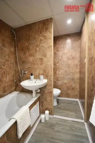 Pronájem bytu 1+1, Chomutov, Borová, 36 m2