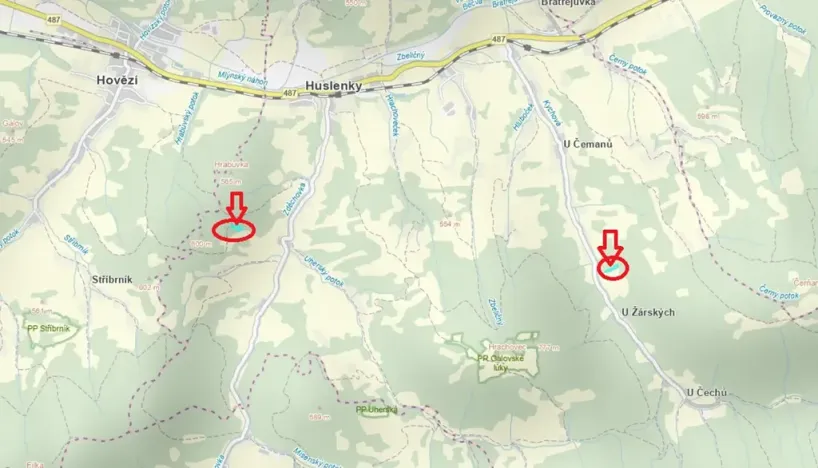 Prodej lesa, Huslenky, 11045 m2