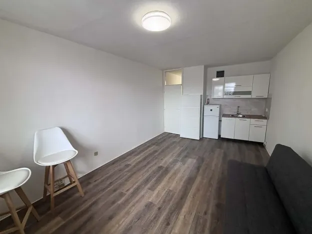 Pronájem bytu 1+kk, Ostrava - Moravská Ostrava, U Parku, 25 m2