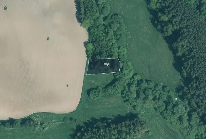 Prodej pole, Přešťovice, 15515 m2