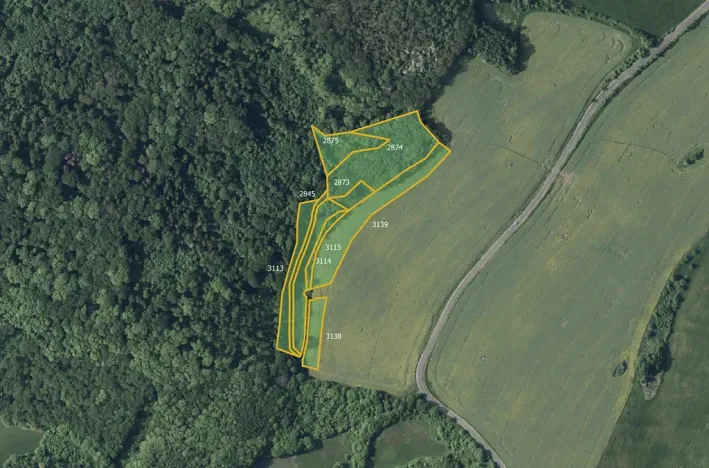 Prodej louky, Kostomlaty pod Milešovkou, 28333 m2