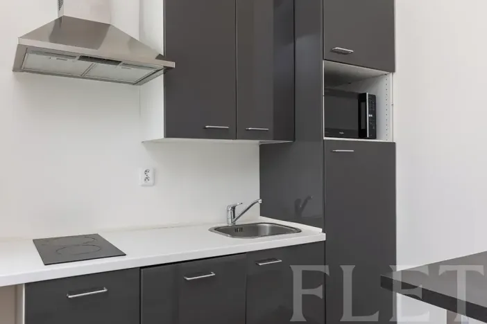 Pronájem bytu 1+1, Praha - Holešovice, Kamenická, 40 m2