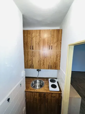 Pronájem bytu 1+kk, Ostrava - Poruba, Mongolská, 24 m2