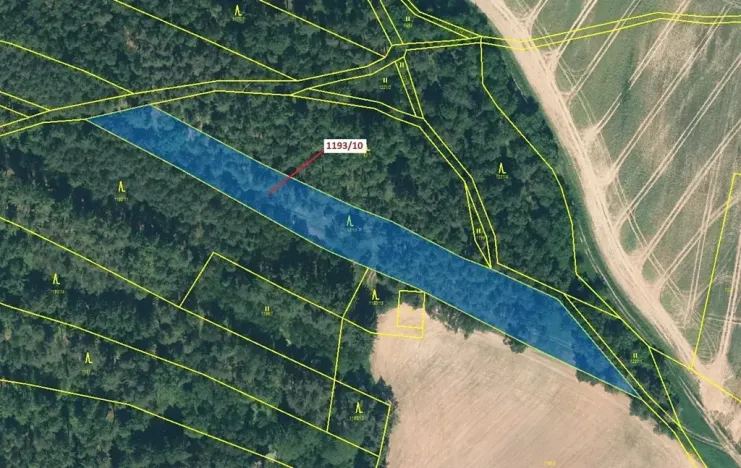 Dražba lesa, Jesenice, 4694 m2