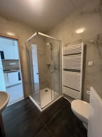 Pronájem bytu 1+kk, Lomnice, Dlouhá, 32 m2