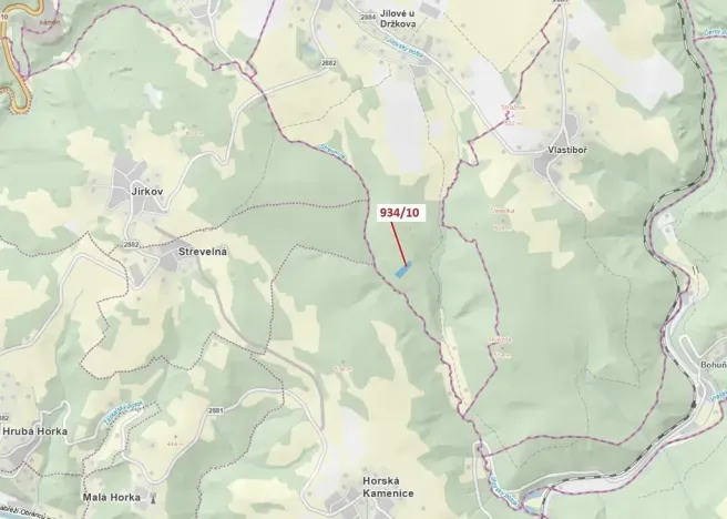 Dražba lesa, Jílové u Držkova, 4305 m2