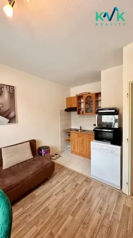 Prodej bytu 1+1, Karlovy Vary, Lidická, 36 m2