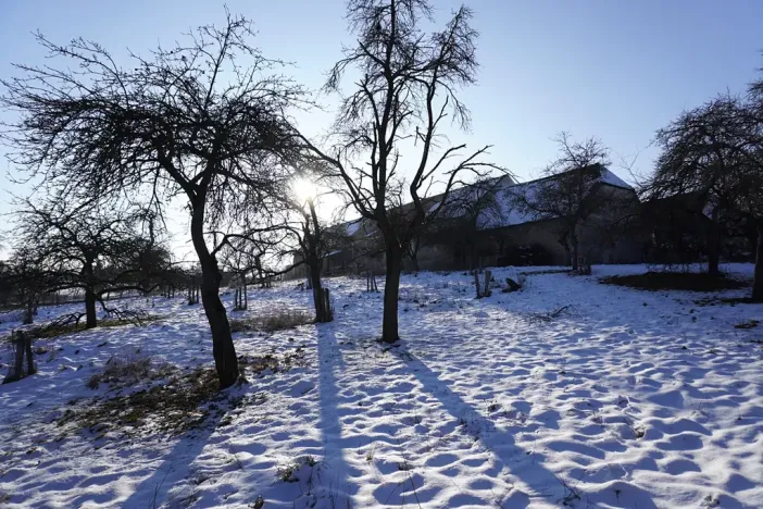 Prodej zemědělské usedlosti, Bukovník, 167 m2