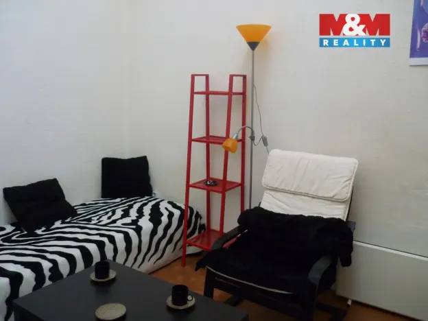 Pronájem bytu 1+kk, Praha - Vinohrady, Mánesova, 16 m2