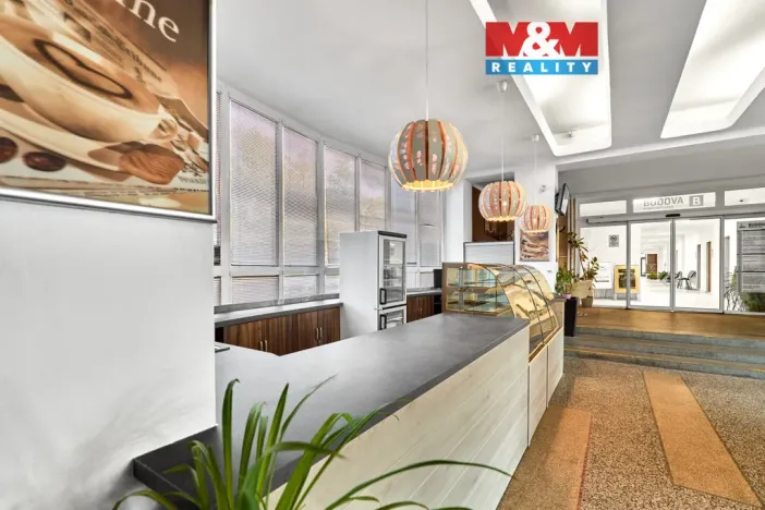 Pronájem obchodního prostoru, Ostrov, Lidická, 120 m2