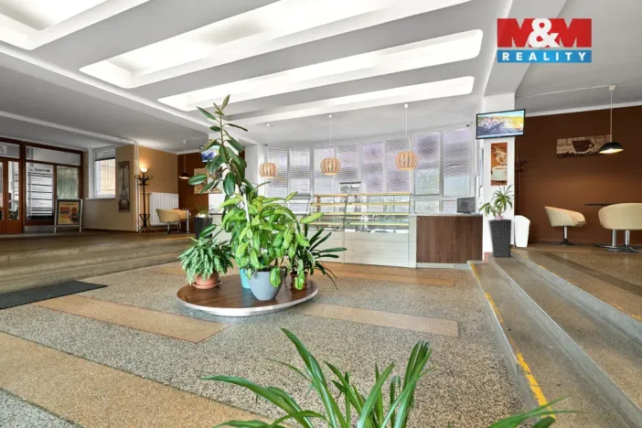 Pronájem obchodního prostoru, Ostrov, Lidická, 120 m2