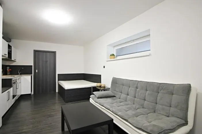 Pronájem bytu 1+kk, Brno, Jeneweinova, 36 m2