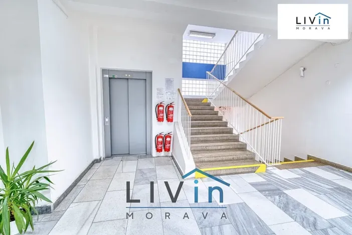 Pronájem kanceláře, Olomouc, Karolíny Světlé, 20 m2