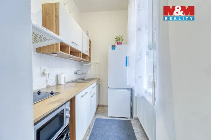 Prodej bytu 1+kk, Plzeň - Východní Předměstí, Plzenecká, 30 m2