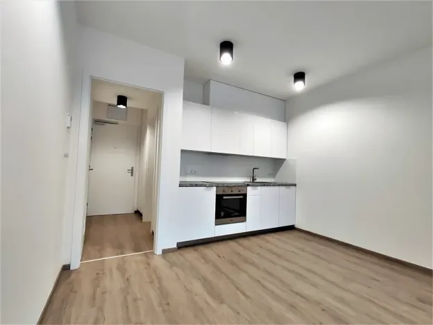 Pronájem bytu 1+kk, Brno, Placzkova, 27 m2