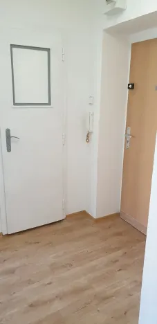 Prodej bytu 1+1, Teplice, Moskevské náměstí, 30 m2