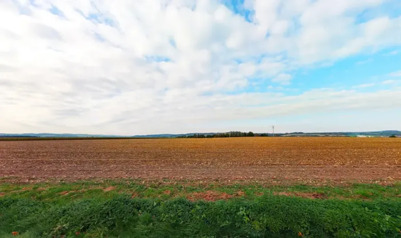Prodej komerčního pozemku, Zruč nad Sázavou, 3061 m2