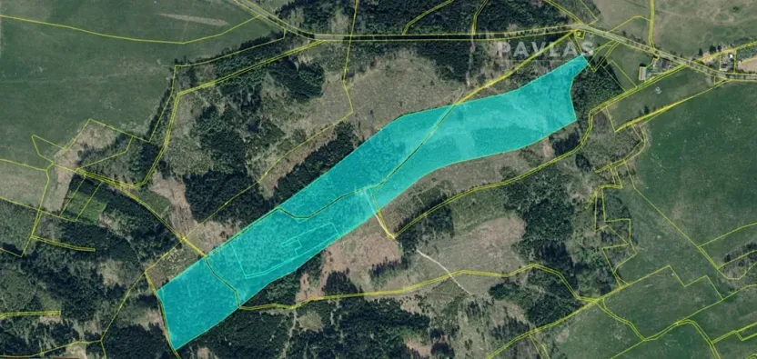 Prodej lesa, Jiříkov, 126160 m2