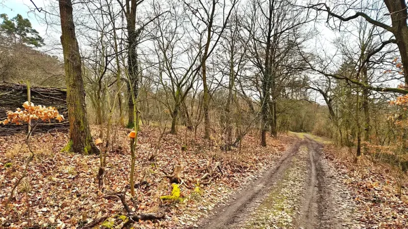 Prodej pozemku pro bydlení, Hradištko, Naděje, 1653 m2