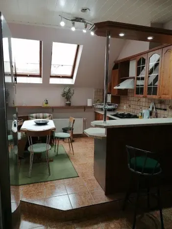 Prodej rodinného domu, Ostrava, Dobrovského, 350 m2