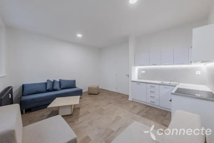 Pronájem bytu 1+kk, Přerov - Přerov I-Město, Husova, 30 m2