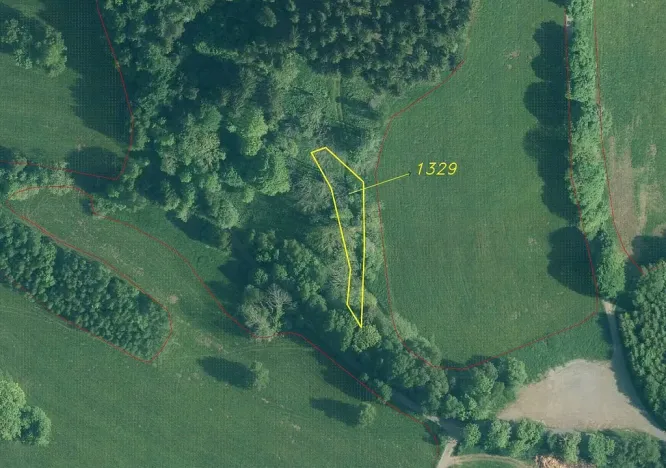 Prodej pozemku, Čachrov - Javorná, 2391 m2