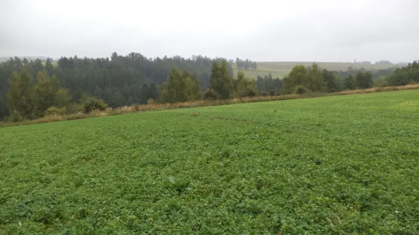 Prodej pozemku, Nové Hrady, 2679 m2